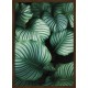 Topný obraz - Tropické listí