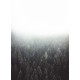 Topný obraz - Mlžný les