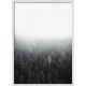 Topný obraz - Mlžný les