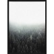 Topný obraz - Mlžný les