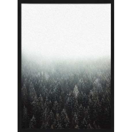 Topný obraz - Mlžný les