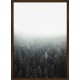 Topný obraz - Mlžný les