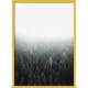 Topný obraz - Mlžný les