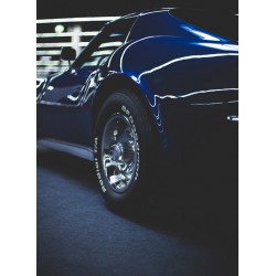 Topný obraz - Modrý závoďák