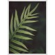 Topný obraz - Kapradinové detaily