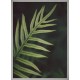 Topný obraz - Kapradinové detaily