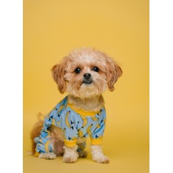 Topný obraz - Pyžamové štěně