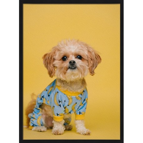 Topný obraz - Pyžamové štěně