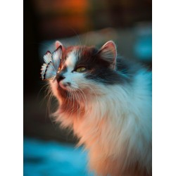 Topný obraz - Motýlí zvědavost