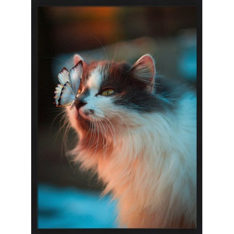 Topný obraz - Motýlí zvědavost