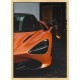 Topný obraz - Oranžová dravost