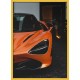 Topný obraz - Oranžová dravost