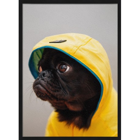 Topný obraz - Mopsík ve žlutém plášti