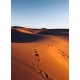 Topný obraz - Poušť