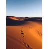 Topný obraz - Poušť