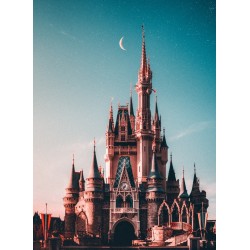Topný obraz - DisneyWorld