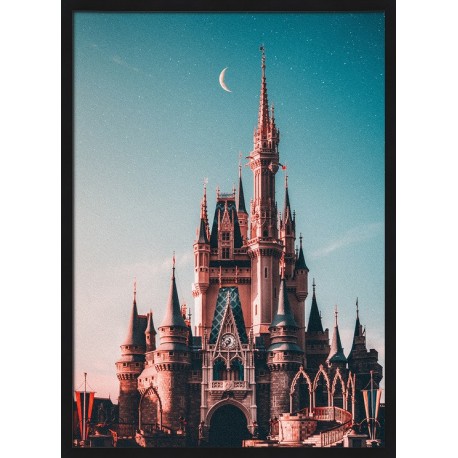 Topný obraz - DisneyWorld