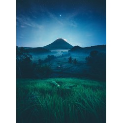 Topný obraz - Krajina v měsíčním svitu