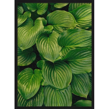 Topný obraz - Zelené vlny