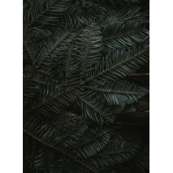 Topný obraz - Jehličí