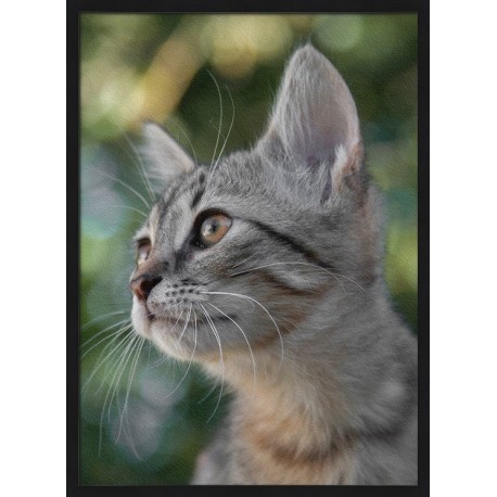 Topný obraz - Zvědavá kočka