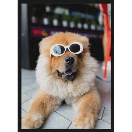 Topný obraz - Stylový chow