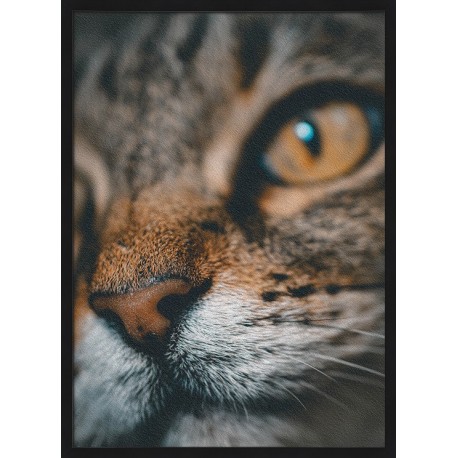 Topný obraz - Kočičí detail