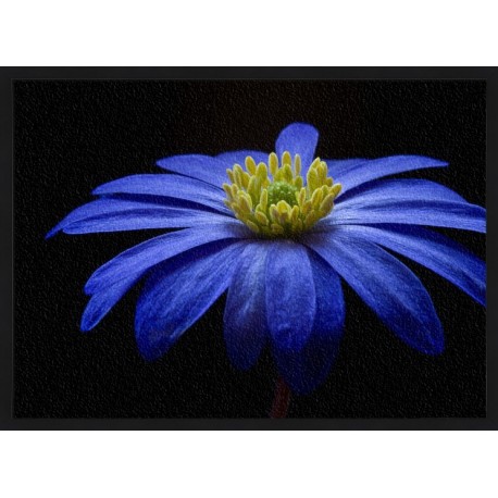 Topný obraz - Modrý květ