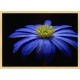 Topný obraz - Modrý květ
