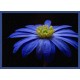 Topný obraz - Modrý květ
