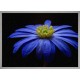 Topný obraz - Modrý květ