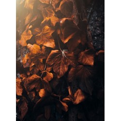 Topný obraz - Podzimní listy