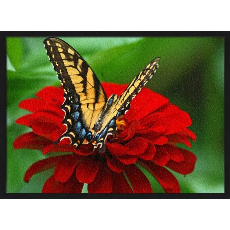 Topný obraz - Motýl na květu Dahlie