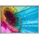 Topný obraz - Duhová květina