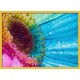 Topný obraz - Duhová květina