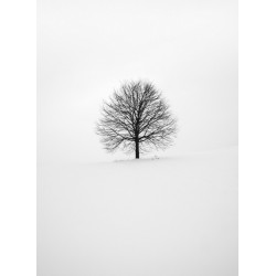 Topný obraz - Strom v zimní krajině