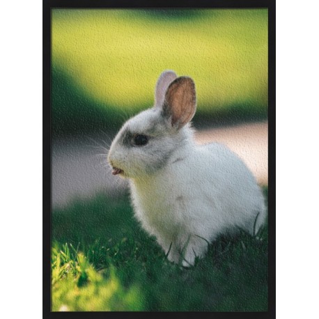 Topný obraz - Králíček